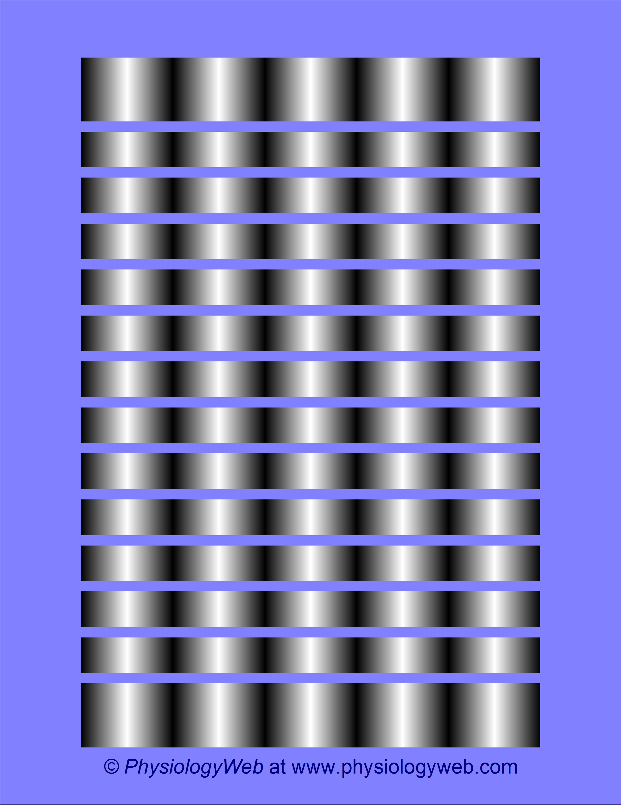 Visual illusion 1.