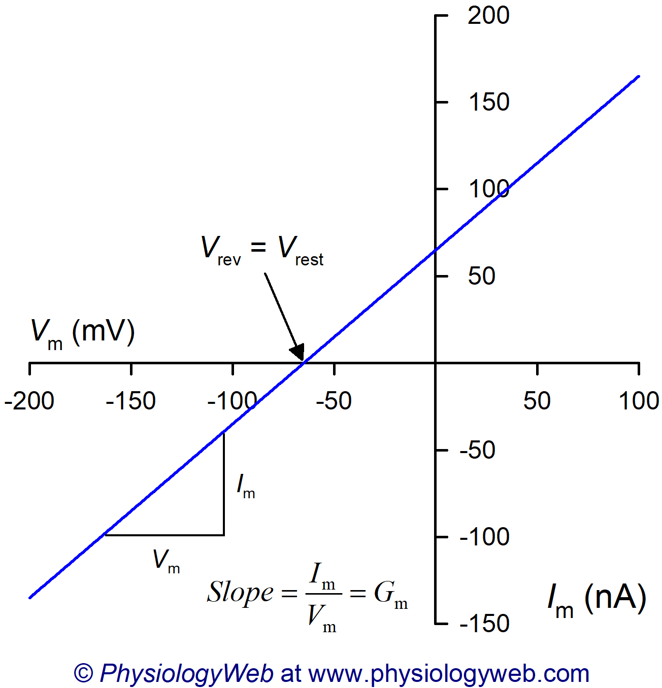 Current-voltage (I-V) relationship for biological membranes